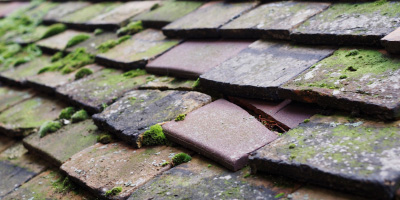 Newbridge On Usk roof repair costs
